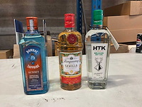 Partij diverse gin - afbeelding 1 van  2
