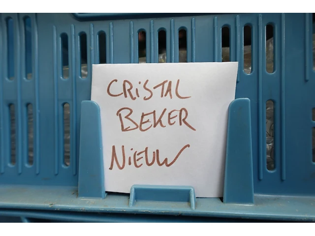 Partij diverse glazen en cristal bekers - afbeelding 13 van  21