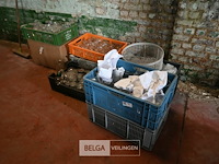 Partij diverse glazen - afbeelding 1 van  7