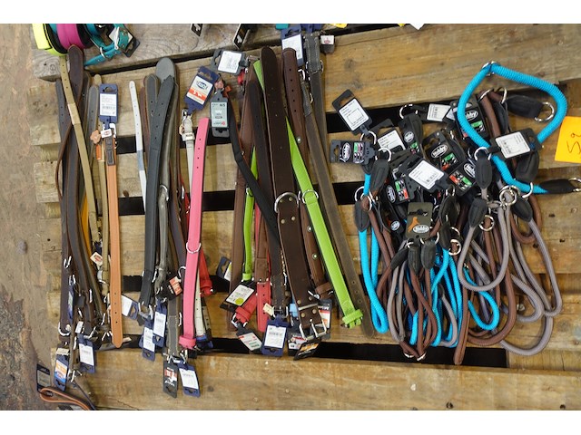 Partij diverse hondenhalsbanden - afbeelding 1 van  5