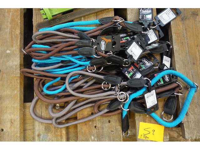 Partij diverse hondenhalsbanden - afbeelding 2 van  5