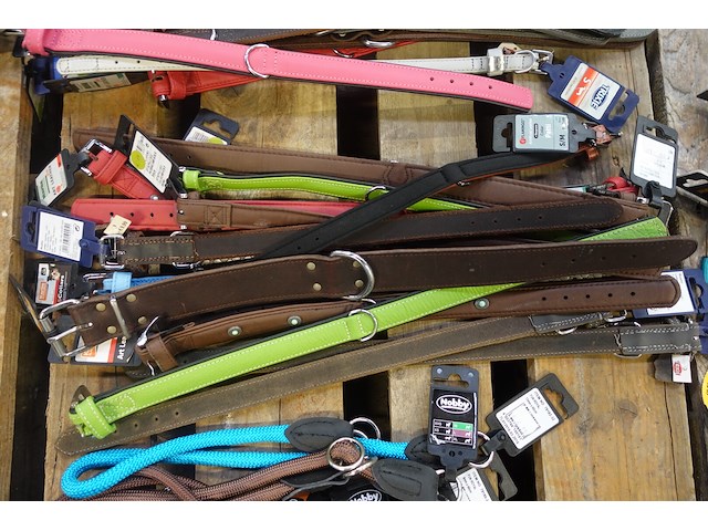 Partij diverse hondenhalsbanden - afbeelding 3 van  5