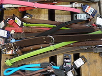 Partij diverse hondenhalsbanden - afbeelding 3 van  5