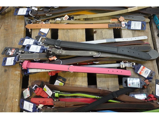 Partij diverse hondenhalsbanden - afbeelding 4 van  5