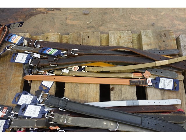 Partij diverse hondenhalsbanden - afbeelding 5 van  5