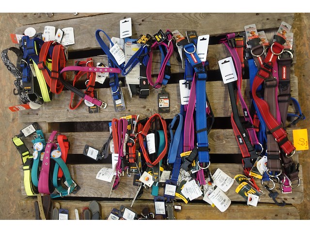Partij diverse hondenhalsbanden - afbeelding 1 van  6