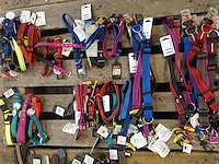 Partij diverse hondenhalsbanden - afbeelding 1 van  6