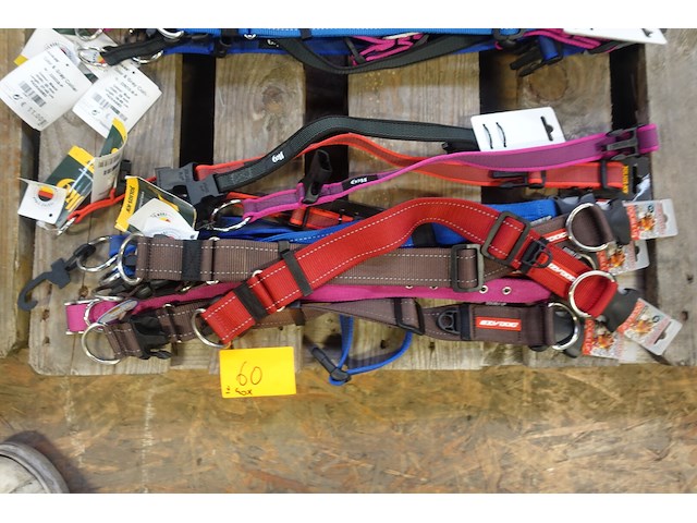 Partij diverse hondenhalsbanden - afbeelding 2 van  6