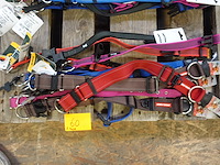 Partij diverse hondenhalsbanden - afbeelding 2 van  6