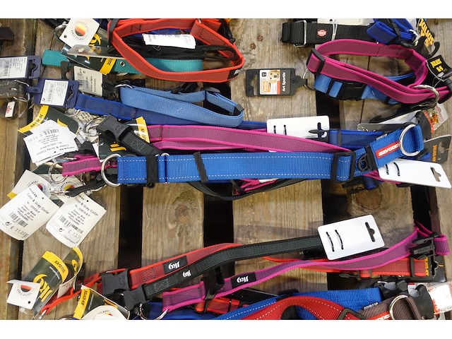 Partij diverse hondenhalsbanden - afbeelding 3 van  6