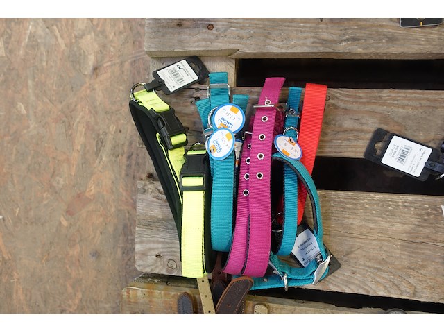 Partij diverse hondenhalsbanden - afbeelding 4 van  6