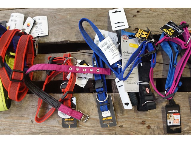 Partij diverse hondenhalsbanden - afbeelding 6 van  6