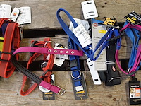 Partij diverse hondenhalsbanden - afbeelding 6 van  6