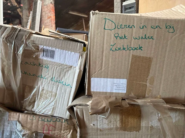Partij diverse kinderboeken - afbeelding 10 van  19