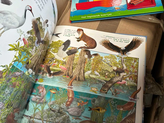 Partij diverse kinderboeken - afbeelding 16 van  19