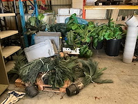 Partij diverse kunstplanten - afbeelding 1 van  5