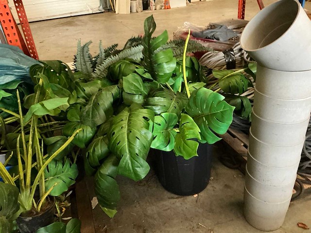 Partij diverse kunstplanten - afbeelding 3 van  5