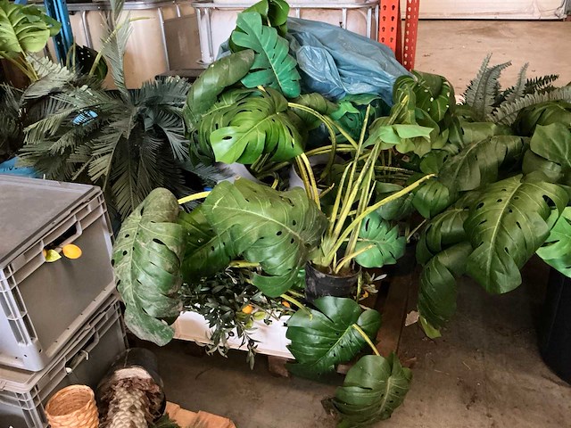 Partij diverse kunstplanten - afbeelding 4 van  5