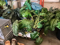 Partij diverse kunstplanten - afbeelding 4 van  5