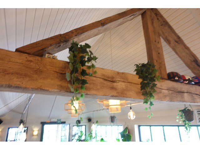 Partij diverse kunststof planten - afbeelding 2 van  22