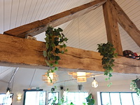 Partij diverse kunststof planten - afbeelding 2 van  22