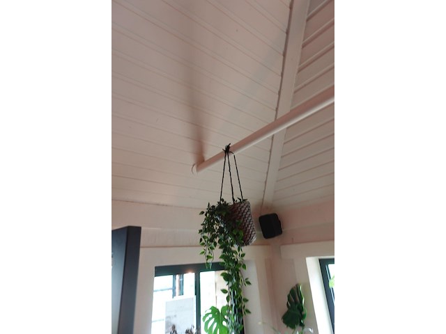 Partij diverse kunststof planten - afbeelding 5 van  22
