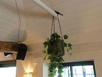 Partij diverse kunststof planten - afbeelding 6 van  22