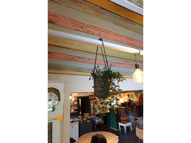 Partij diverse kunststof planten - afbeelding 7 van  22
