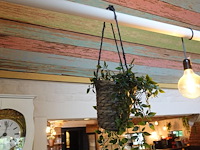 Partij diverse kunststof planten - afbeelding 7 van  22