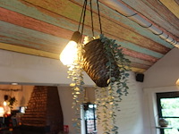Partij diverse kunststof planten - afbeelding 8 van  22