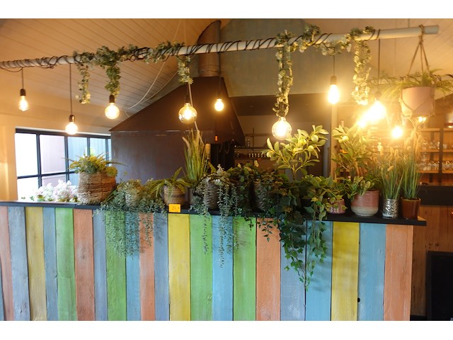 Partij diverse kunststof planten - afbeelding 1 van  22