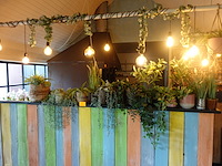 Partij diverse kunststof planten