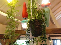 Partij diverse kunststof planten - afbeelding 13 van  22