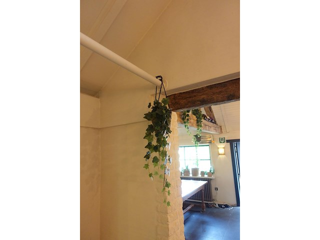 Partij diverse kunststof planten - afbeelding 15 van  22