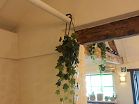 Partij diverse kunststof planten - afbeelding 15 van  22