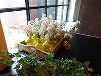 Partij diverse kunststof planten - afbeelding 16 van  22
