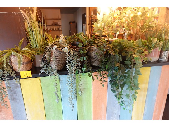 Partij diverse kunststof planten - afbeelding 18 van  22