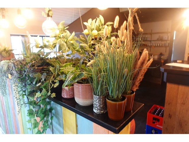 Partij diverse kunststof planten - afbeelding 19 van  22