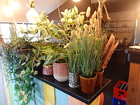 Partij diverse kunststof planten - afbeelding 19 van  22