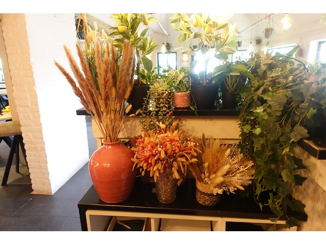 Partij diverse kunststof planten - afbeelding 20 van  22