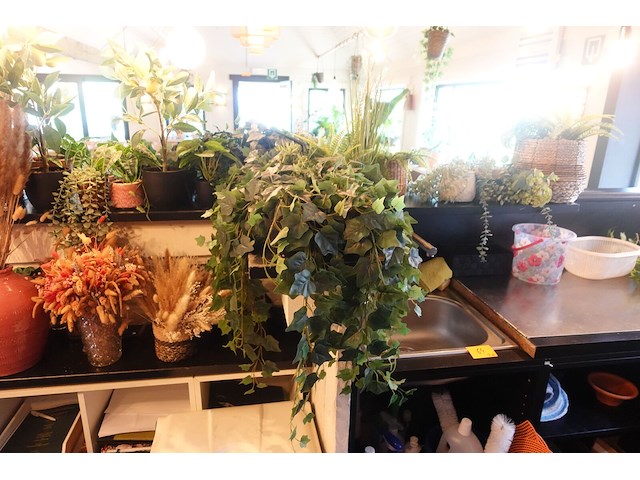 Partij diverse kunststof planten - afbeelding 21 van  22