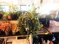 Partij diverse kunststof planten - afbeelding 21 van  22