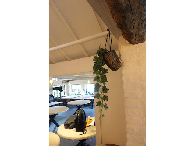 Partij diverse kunststof planten - afbeelding 22 van  22