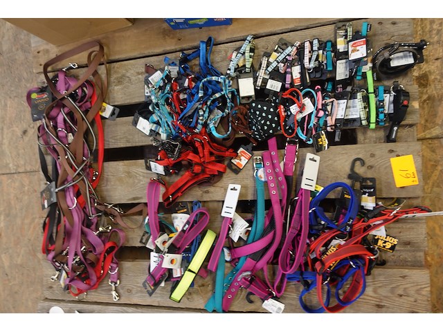 Partij diverse leibanden en halsbanden - afbeelding 1 van  5