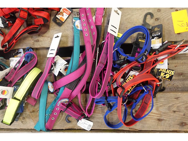 Partij diverse leibanden en halsbanden - afbeelding 3 van  5