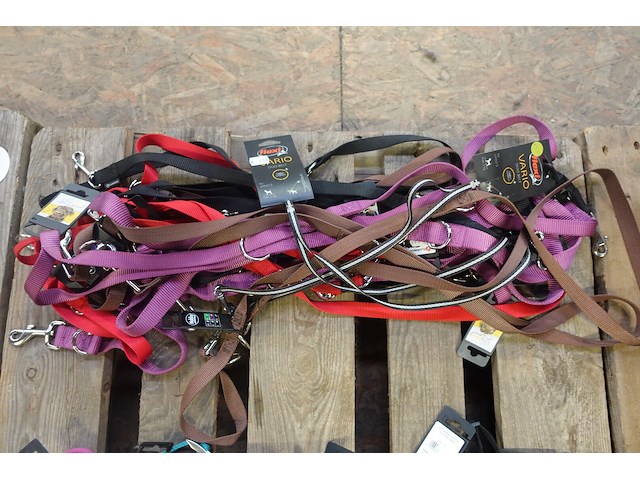Partij diverse leibanden en halsbanden - afbeelding 5 van  5