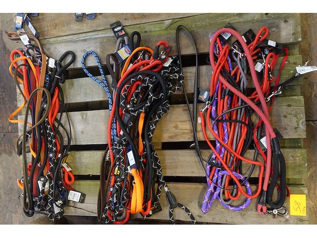 Partij diverse leibanden - afbeelding 1 van  4