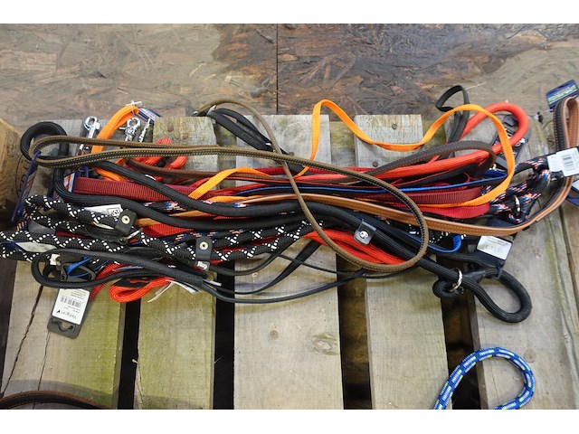 Partij diverse leibanden - afbeelding 4 van  4