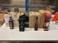 Partij diverse likeuren, aperitieven en sterke dranken