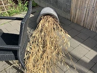 Partij diverse planten in pot - afbeelding 2 van  7